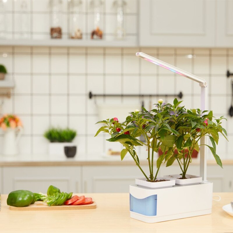 Indoor Herb ;) Vegetable Flower Growing Kit with Growth Light