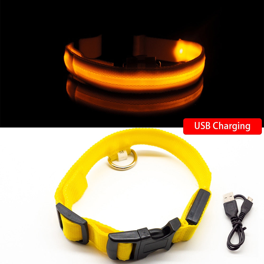 USB Charging Led Dog Collar - Various Sizes & Colours