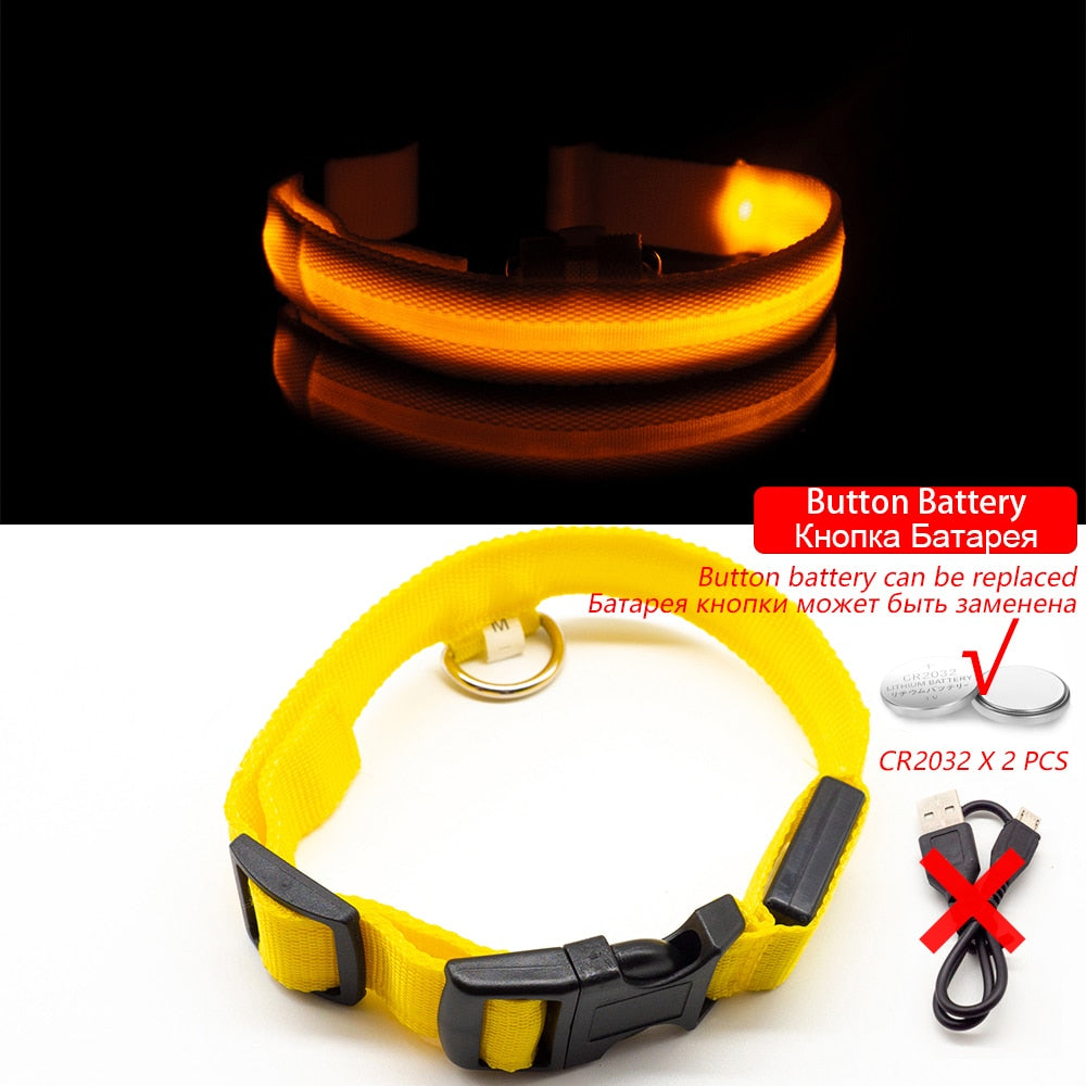 USB Charging Led Dog Collar - Various Sizes & Colours