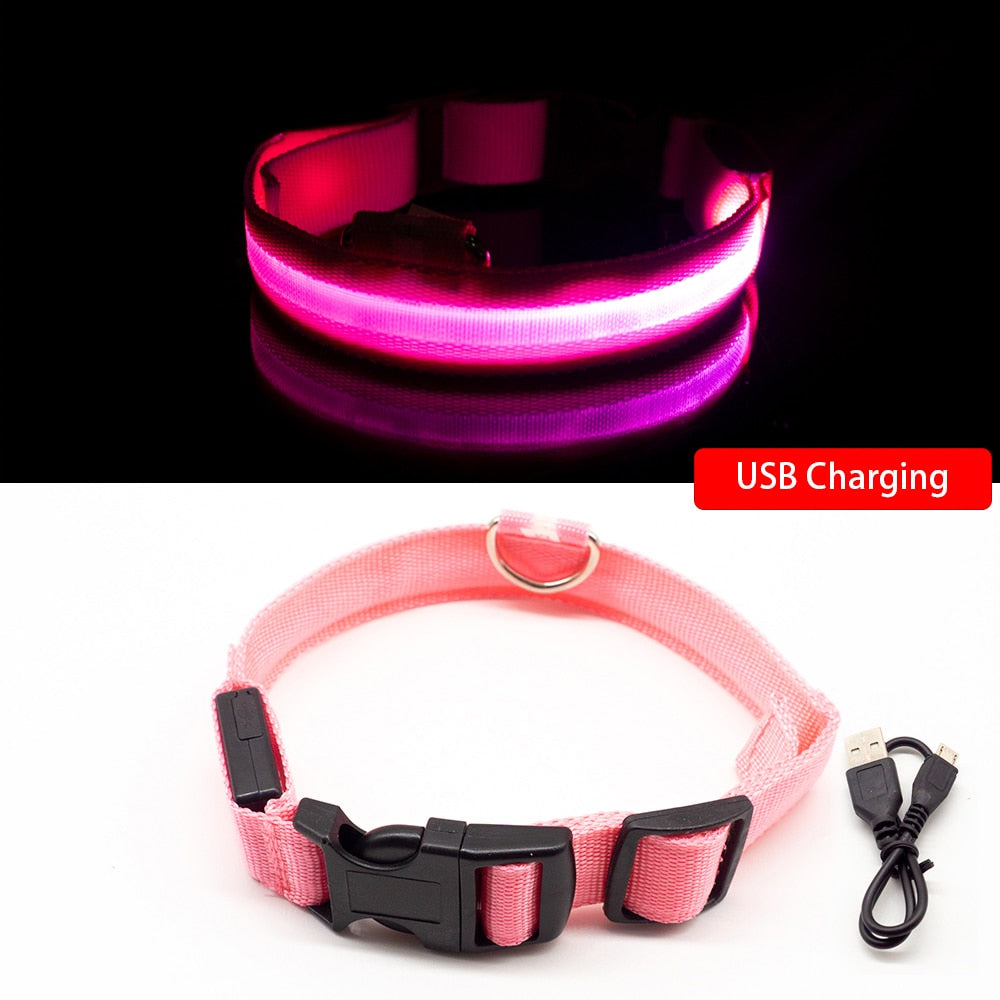 USB Charging Led Dog Collar - Various Sizes & Colours