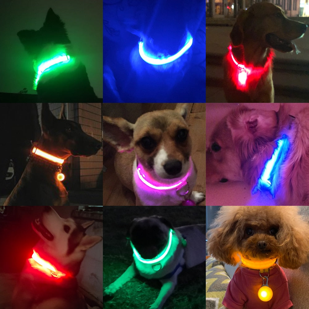 USB Charging Led Dog Collar - Various Sizes & Colours