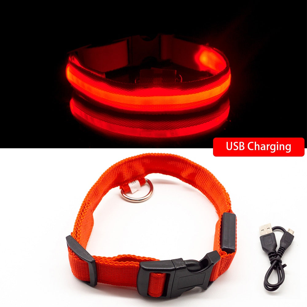 USB Charging Led Dog Collar - Various Sizes & Colours