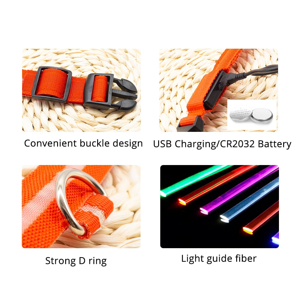 USB Charging Led Dog Collar - Various Sizes & Colours