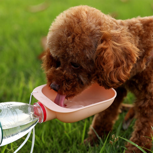 Portable Pet Dog Water Bottle Adaptor