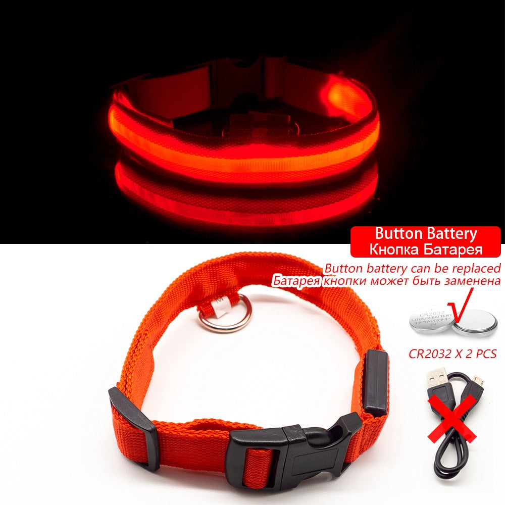 USB Charging Led Dog Collar - Various Sizes & Colours