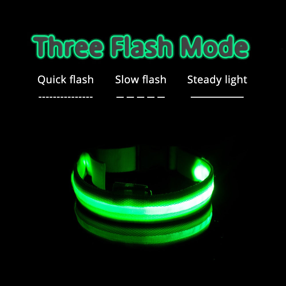 USB Charging Led Dog Collar - Various Sizes & Colours