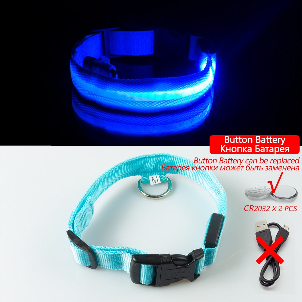 USB Charging Led Dog Collar - Various Sizes & Colours