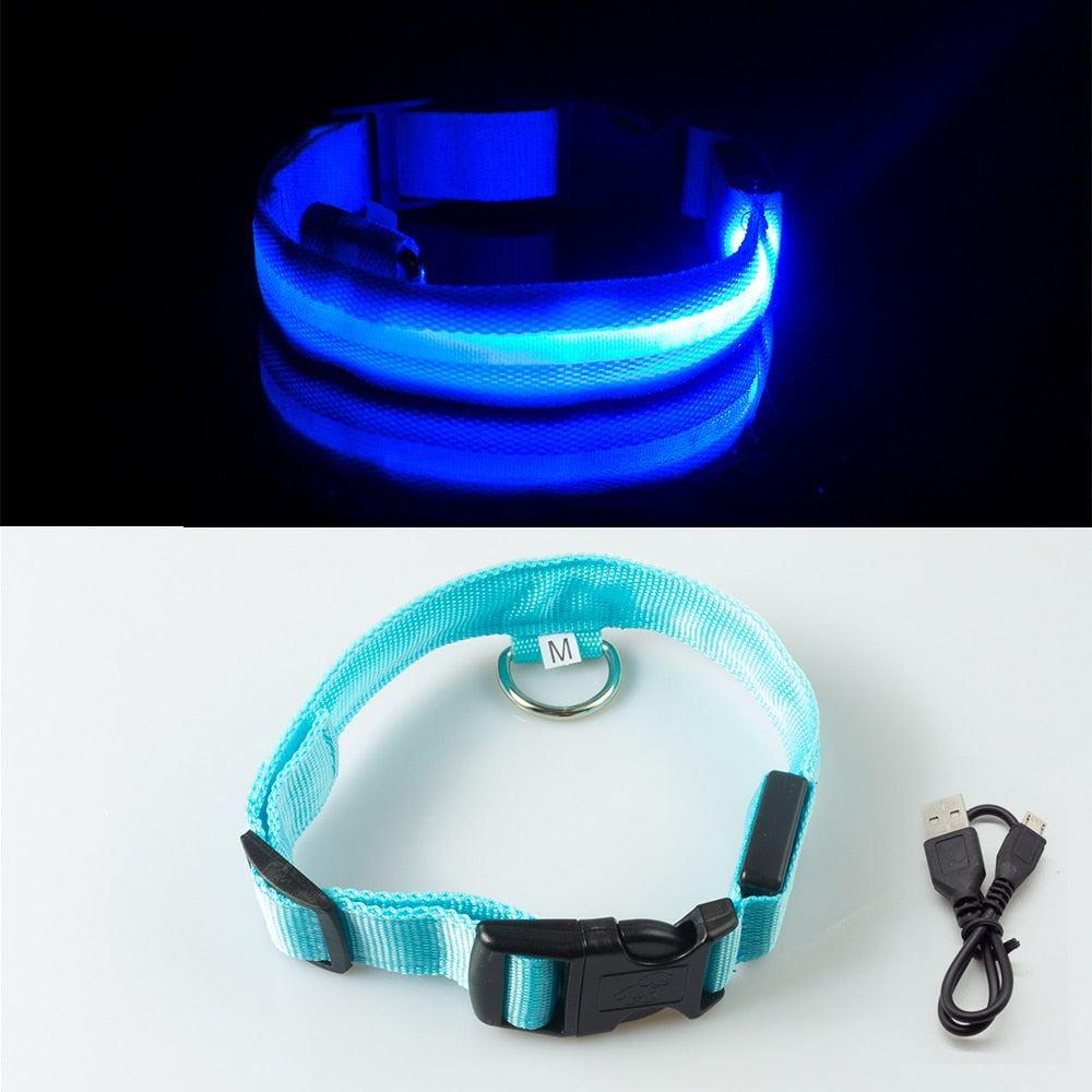 USB Charging Led Dog Collar - Various Sizes & Colours