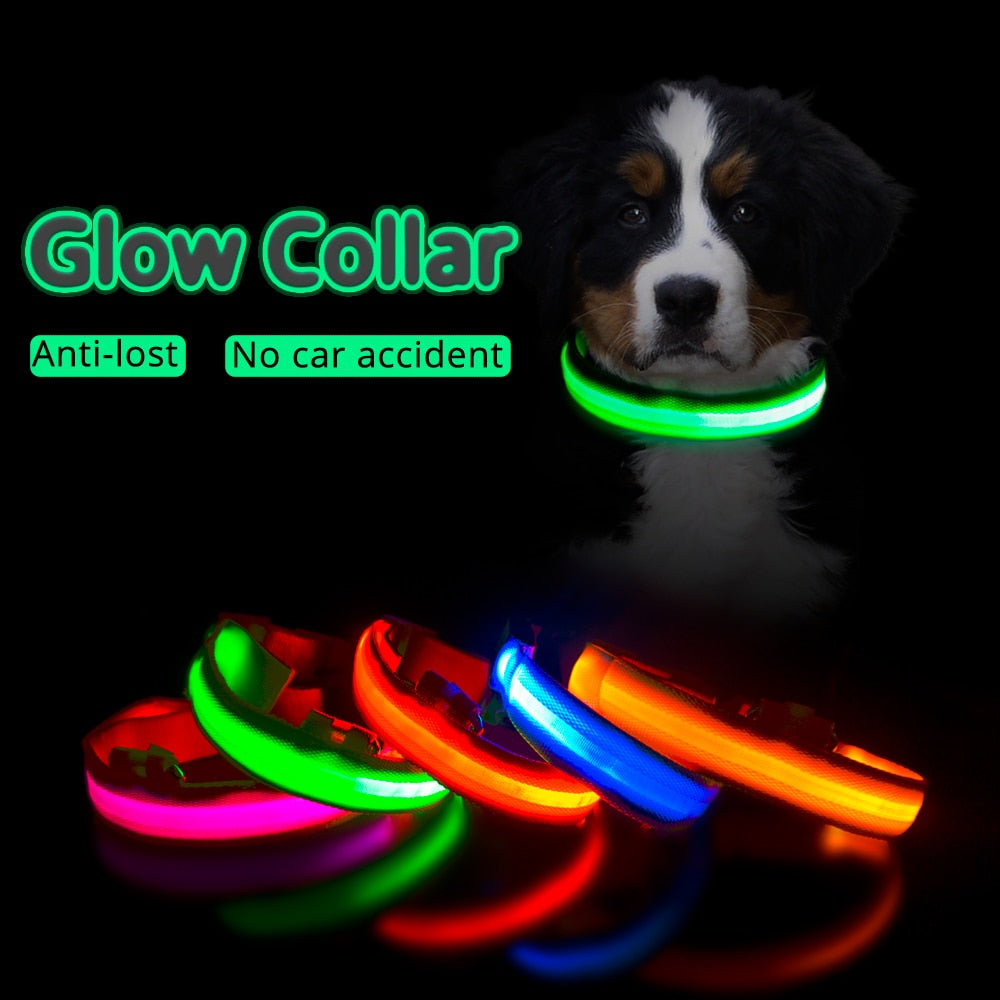 USB Charging Led Dog Collar - Various Sizes & Colours