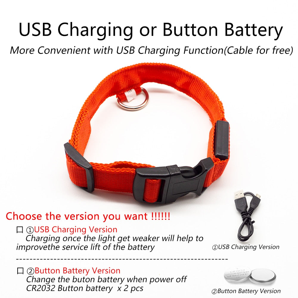 USB Charging Led Dog Collar - Various Sizes & Colours