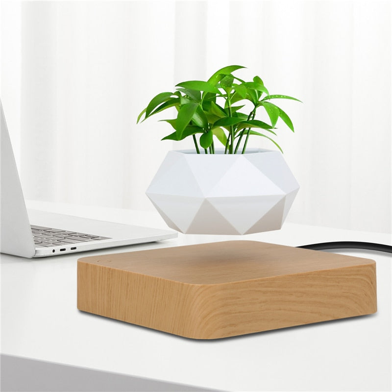 Levitating Floating Bonsai Plant Desk Ornament