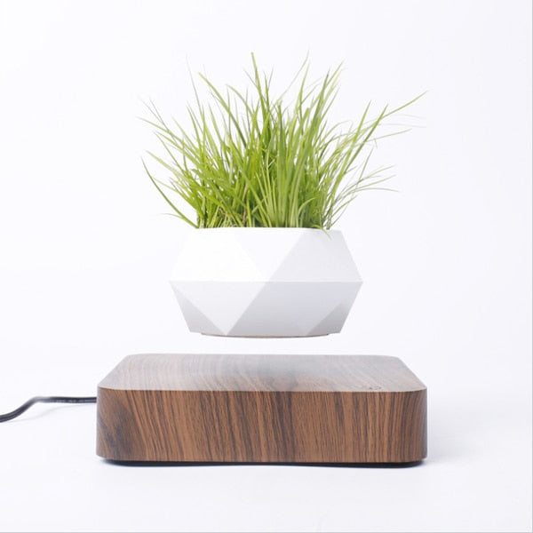 Levitating Floating Bonsai Plant Desk Ornament