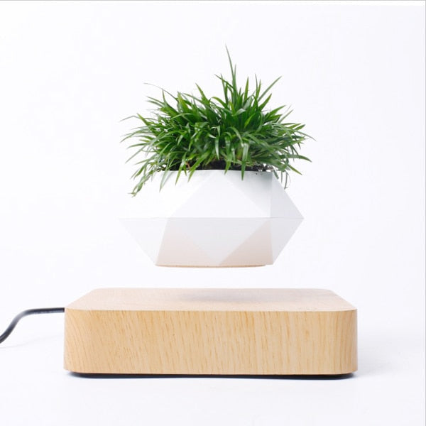 Levitating Floating Bonsai Plant Desk Ornament