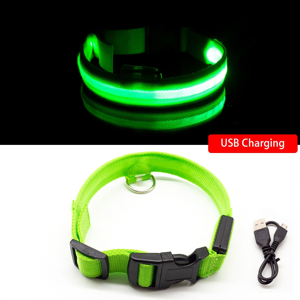 USB Charging Led Dog Collar - Various Sizes & Colours