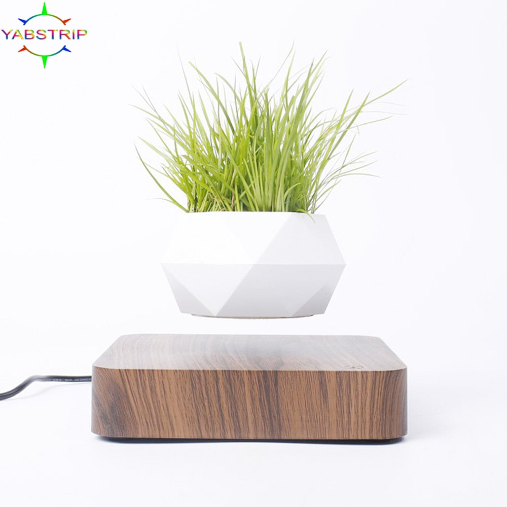 Levitating Floating Bonsai Plant Desk Ornament