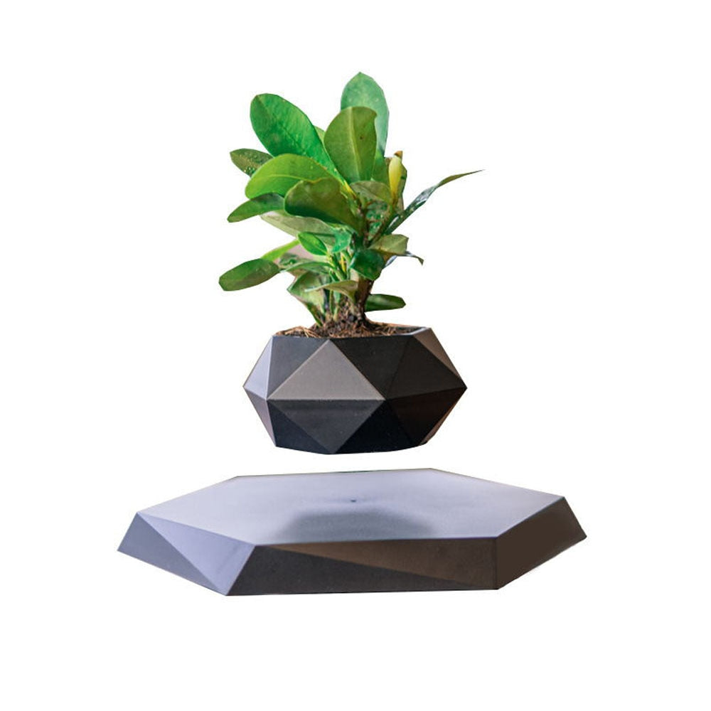 Levitating Floating Bonsai Plant Desk Ornament