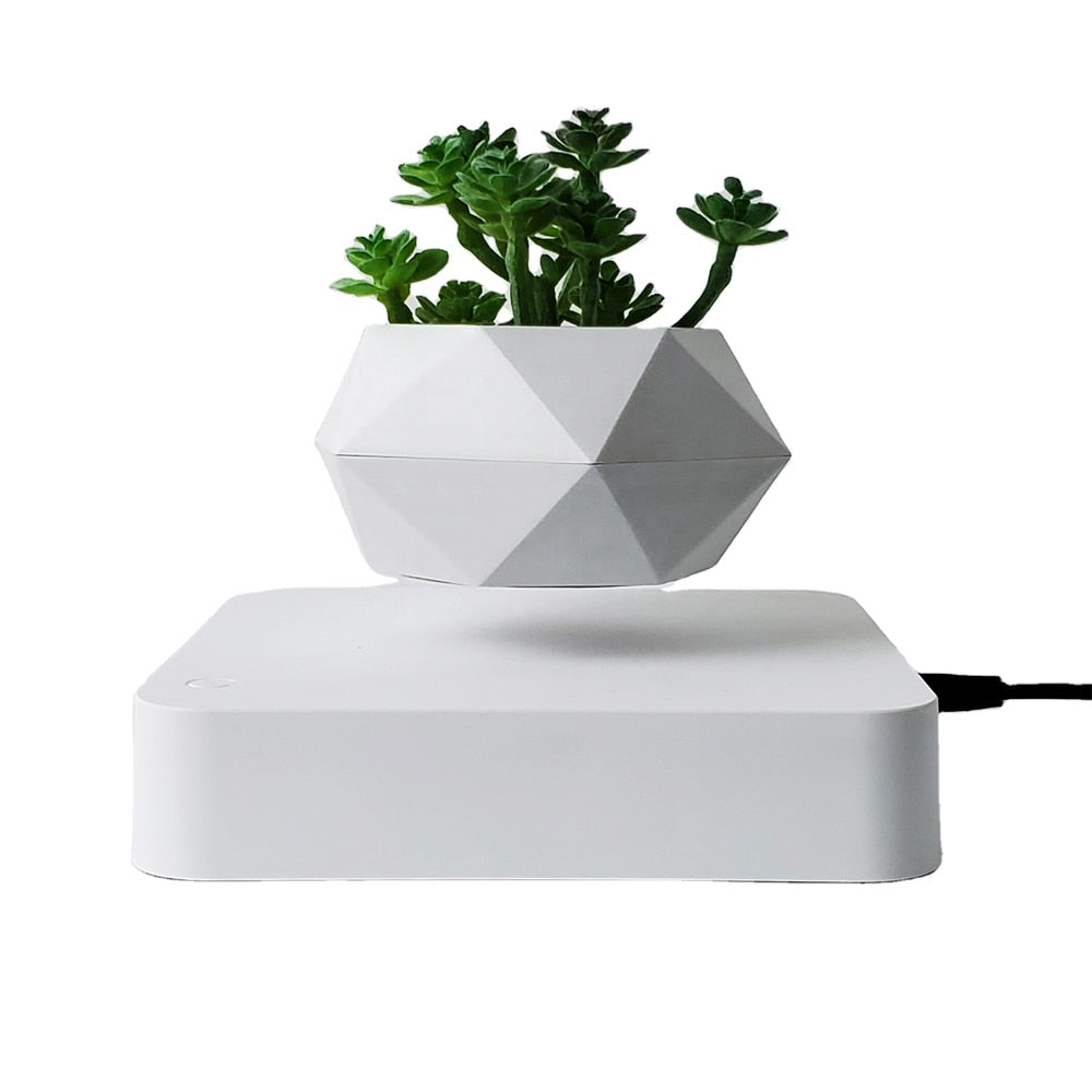 Levitating Floating Bonsai Plant Desk Ornament